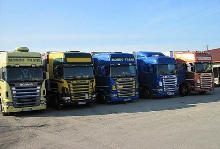 Mondo Trans Company - transport si expeditii,  interne si internationale de marfuri, Bucuresti