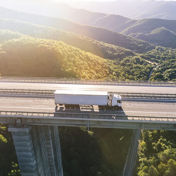 Mondo Trans Company - transport si expeditii,  interne si internationale de marfuri, Bucuresti